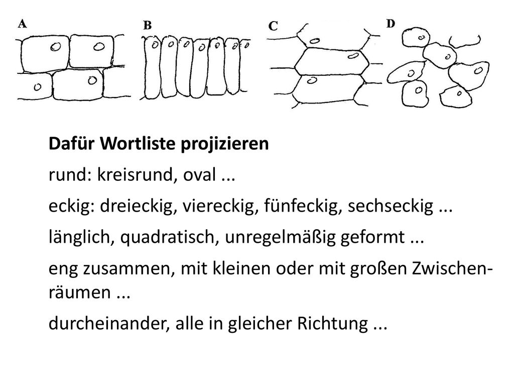 Dafür Wortliste projizieren