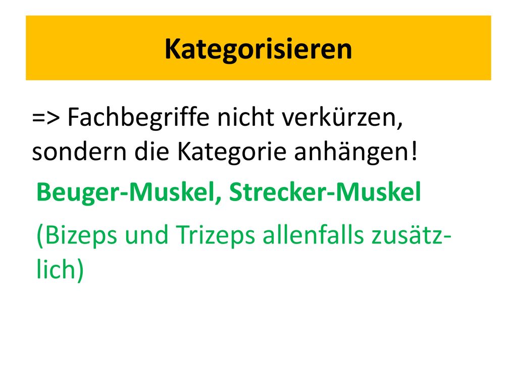 Kategorisieren => Fachbegriffe nicht verkürzen, sondern die Kategorie anhängen! Beuger-Muskel, Strecker-Muskel.