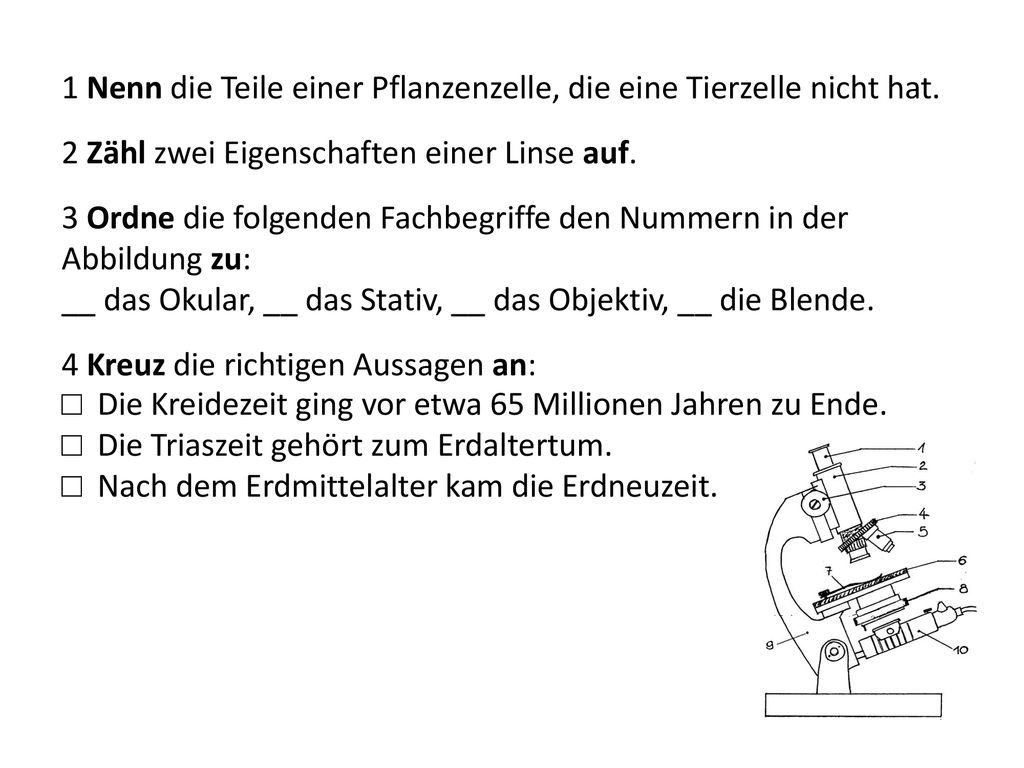 1 Nenn die Teile einer Pflanzenzelle, die eine Tierzelle nicht hat.