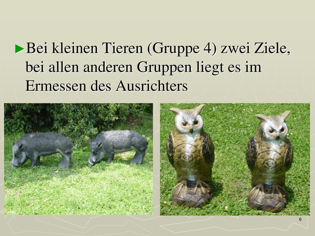 Bei kleinen Tieren (Gruppe 4) zwei Ziele, bei allen anderen Gruppen liegt es im Ermessen des Ausrichters