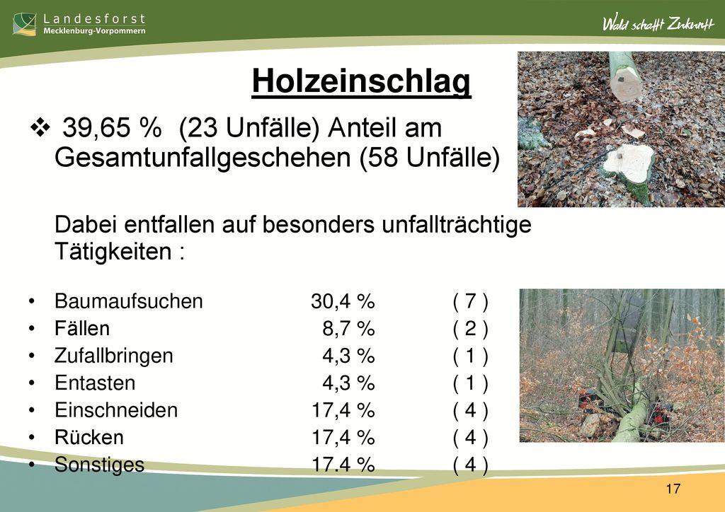 Holzeinschlag 39,65 % (23 Unfälle) Anteil am Gesamtunfallgeschehen (58 Unfälle) Dabei entfallen auf besonders unfallträchtige Tätigkeiten :
