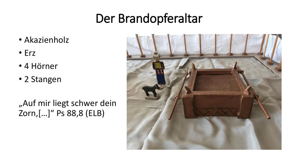 Der Brandopferaltar Akazienholz Erz 4 Hörner 2 Stangen