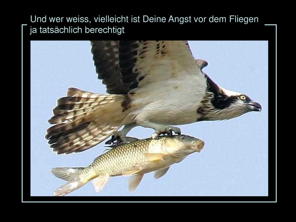 Und wer weiss, vielleicht ist Deine Angst vor dem Fliegen ja tatsächlich berechtigt