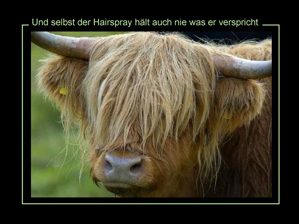 Und selbst der Hairspray hält auch nie was er verspricht
