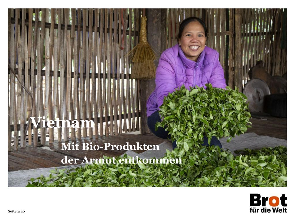 Vietnam Mit Bio-Produkten der Armut entkommen 1