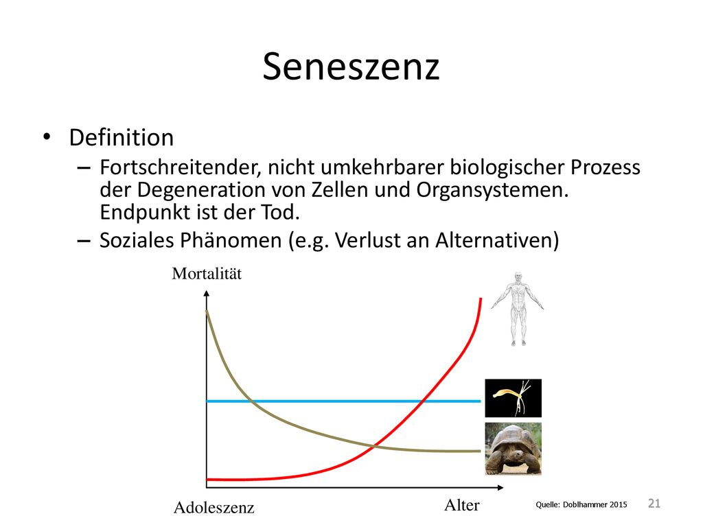 Seneszenz Definition. Fortschreitender, nicht umkehrbarer biologischer Prozess der Degeneration von Zellen und Organsystemen. Endpunkt ist der Tod.