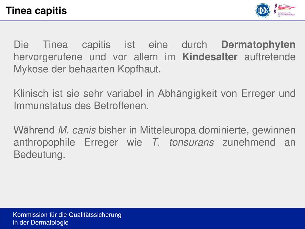 Tinea capitis Die Tinea capitis ist eine durch Dermatophyten hervorgerufene und vor allem im Kindesalter auftretende Mykose der behaarten Kopfhaut.