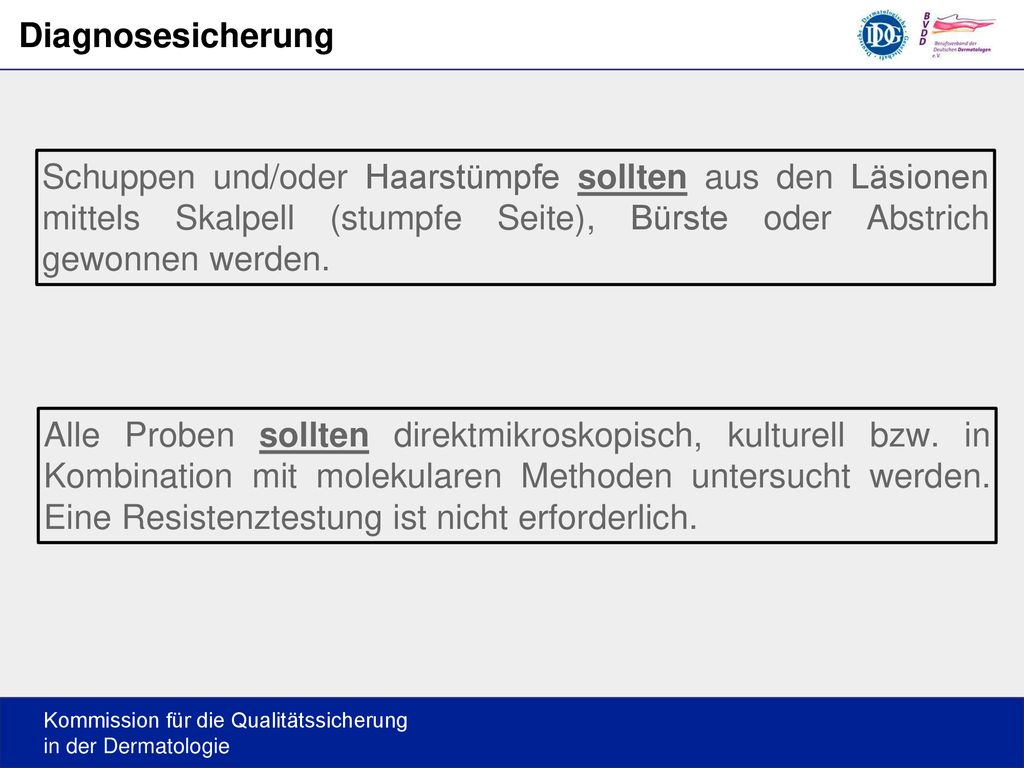 Diagnosesicherung Schuppen und/oder Haarstümpfe sollten aus den Läsionen mittels Skalpell (stumpfe Seite), Bürste oder Abstrich gewonnen werden.