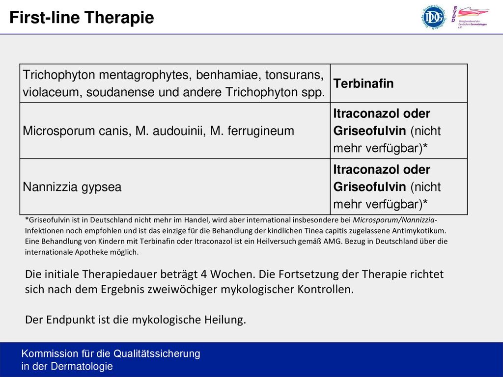 First-line Therapie Trichophyton mentagrophytes, benhamiae, tonsurans, violaceum, soudanense und andere Trichophyton spp.