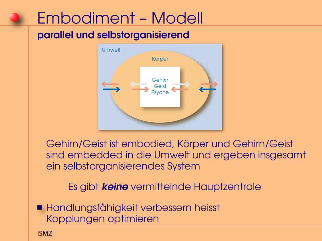 Die Vorgänge in uns sind parallel und selbstorganisiert.
