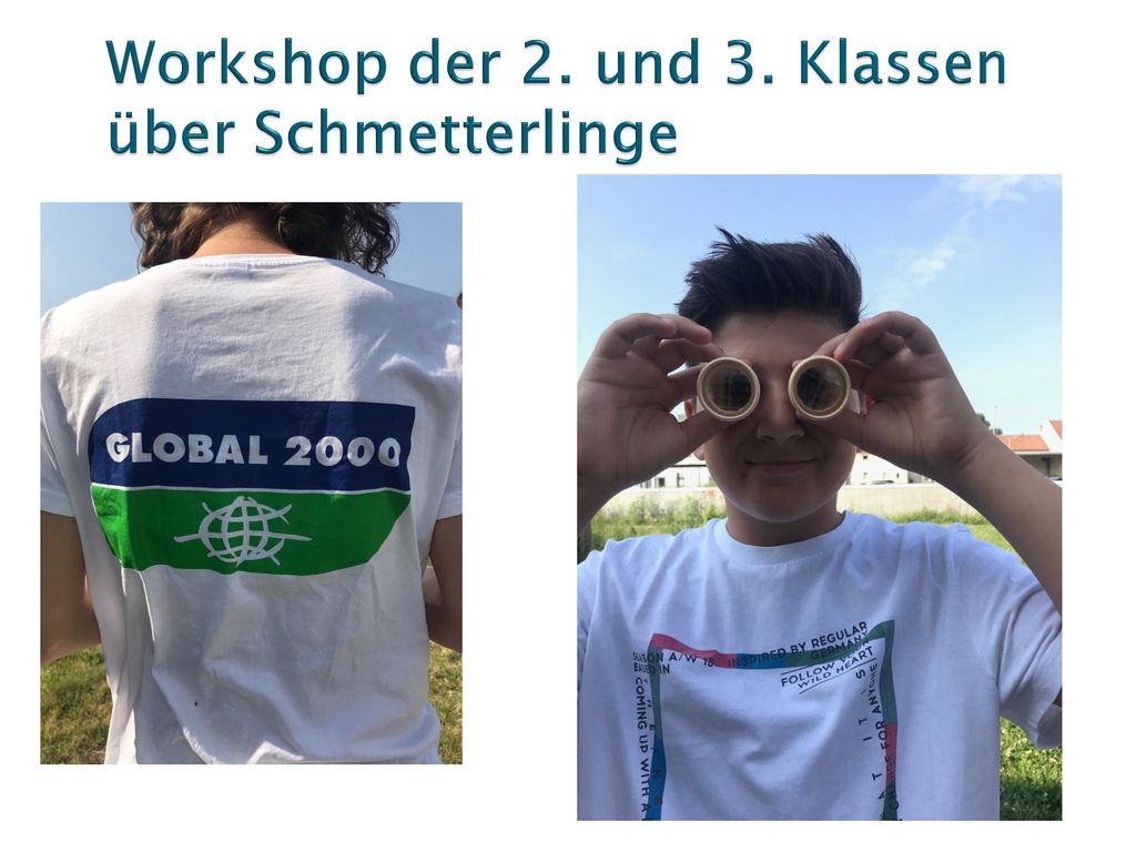 Workshop der 2. und 3. Klassen über Schmetterlinge