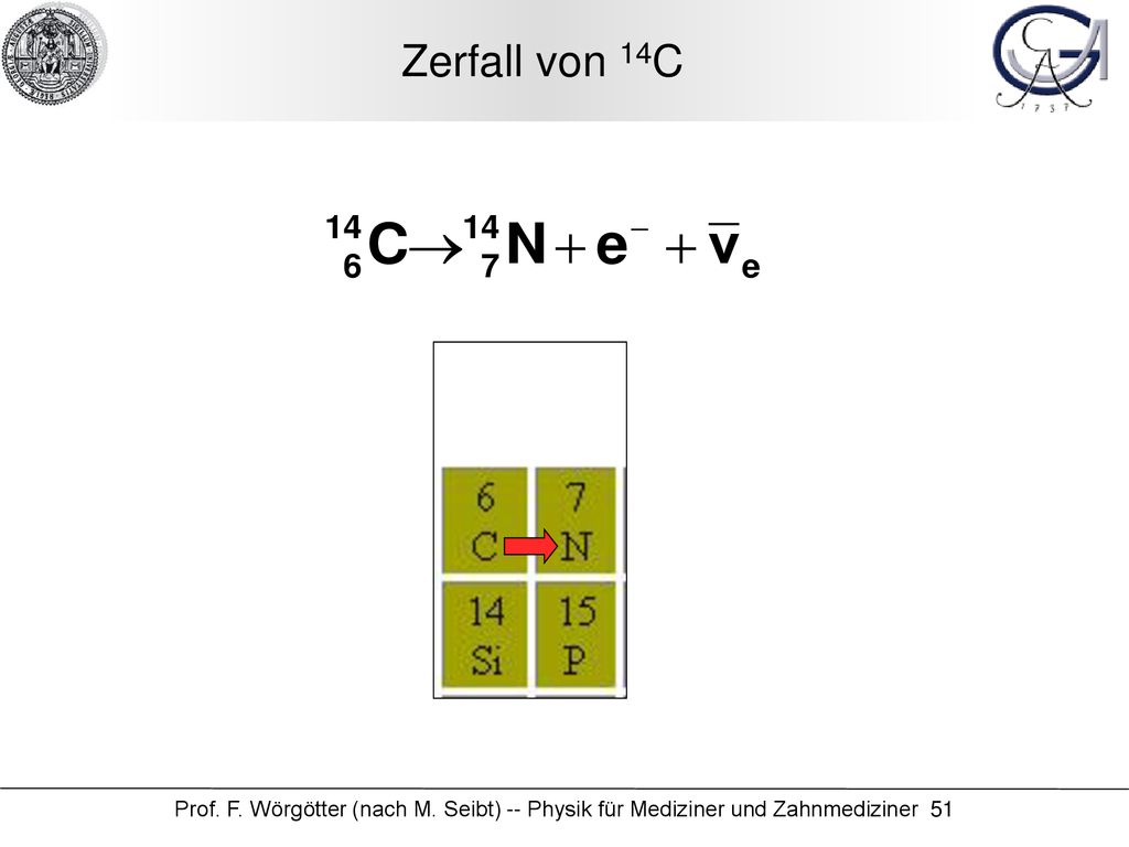 Zerfall von 14C Prof. F. Wörgötter (nach M. Seibt) -- Physik für Mediziner und Zahnmediziner 51