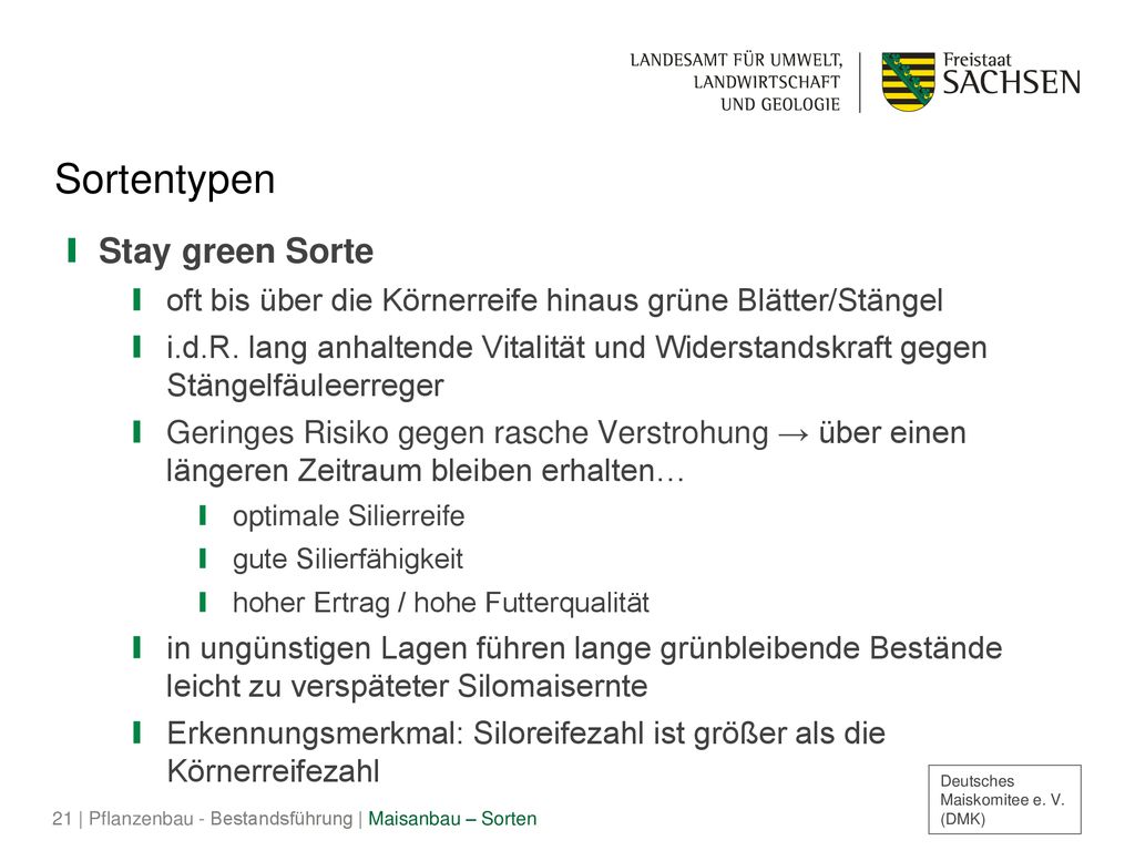 Sortentypen Stay green Sorte
