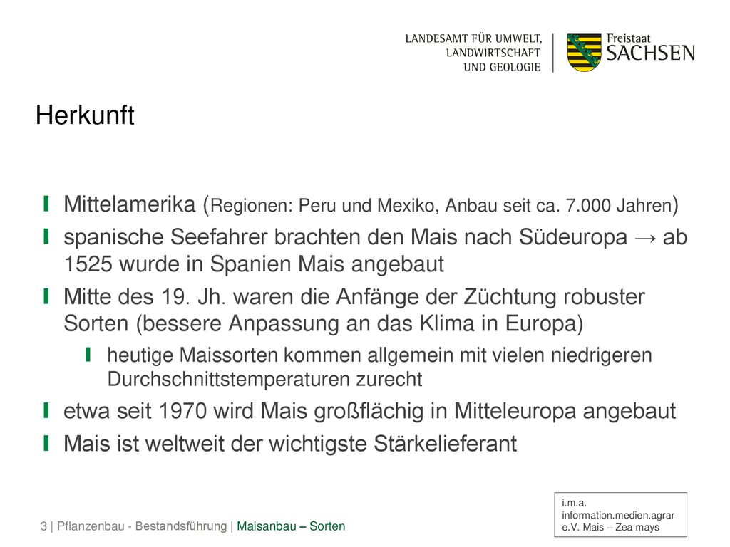 Herkunft Mittelamerika (Regionen: Peru und Mexiko, Anbau seit ca Jahren)