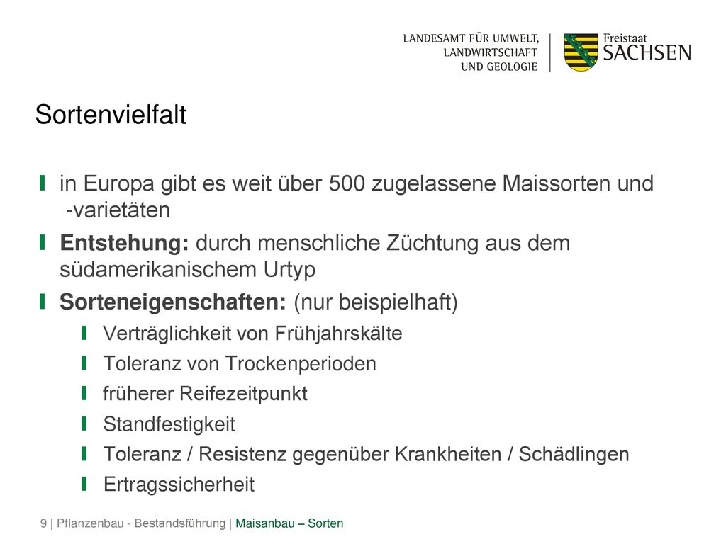 Sortenvielfalt in Europa gibt es weit über 500 zugelassene Maissorten und -varietäten.