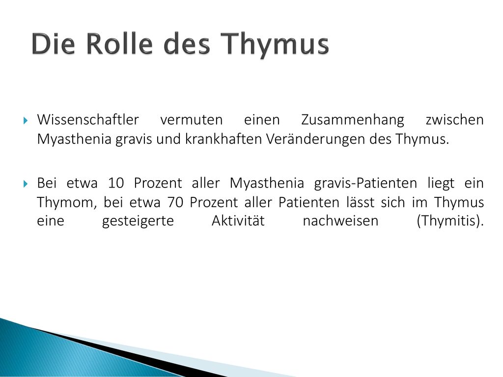 Die Rolle des Thymus Wissenschaftler vermuten einen Zusammenhang zwischen Myasthenia gravis und krankhaften Veränderungen des Thymus.