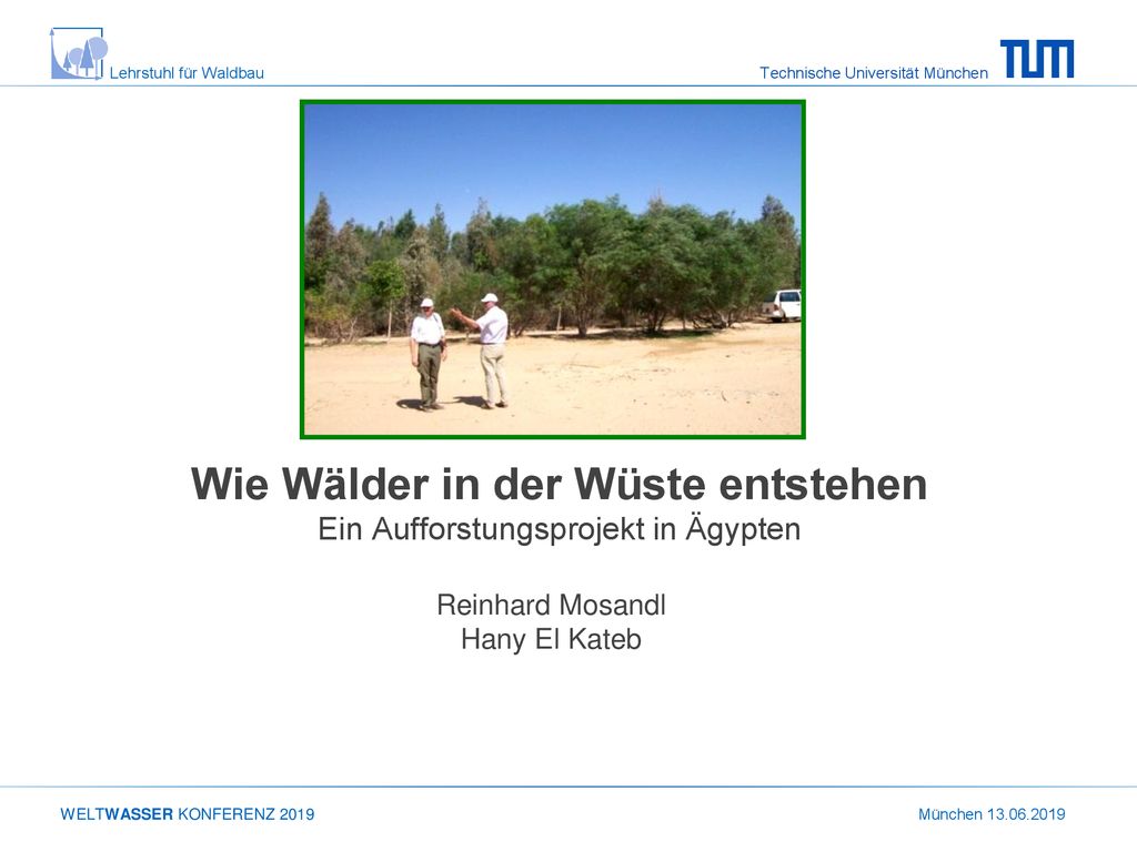 Wie Wälder in der Wüste entstehen Ein Aufforstungsprojekt in Ägypten