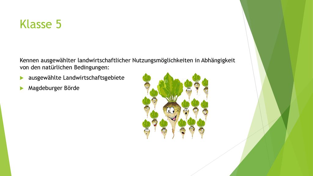 Klasse 5 Kennen ausgewählter landwirtschaftlicher Nutzungsmöglichkeiten in Abhängigkeit von den natürlichen Bedingungen: