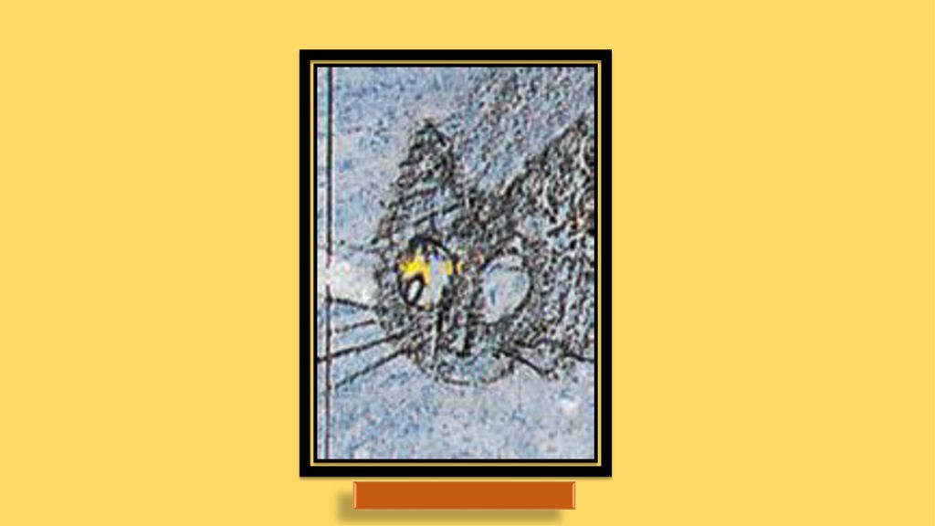Illustrationen: © 1989 Józef Wilko´n, mit freundlicher Genehmigung der Agentur der Stiftsbuchhandlung
