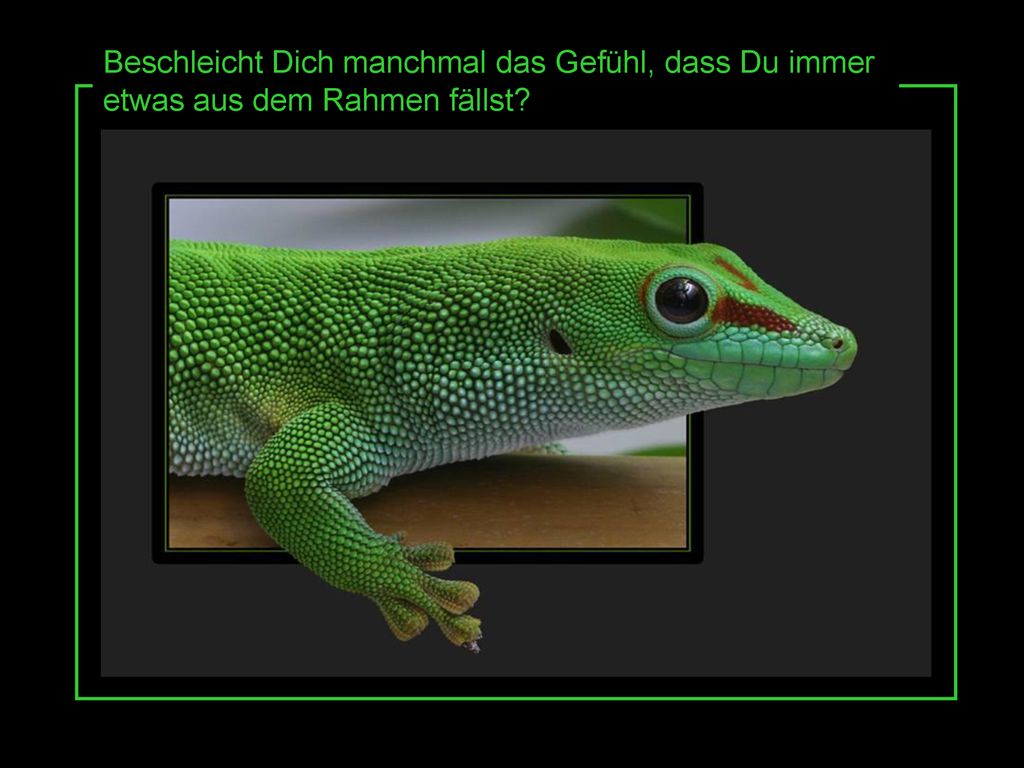 Beschleicht Dich manchmal das Gefühl, dass Du immer etwas aus dem Rahmen fällst