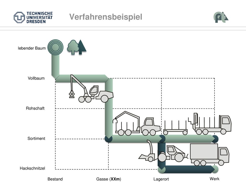 Verfahrensbeispiel Vollbaum Rohschaft Sortiment Bestand Gasse (XXm)
