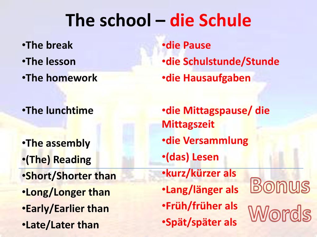 Bonus Words The school – die Schule The break The lesson The homework