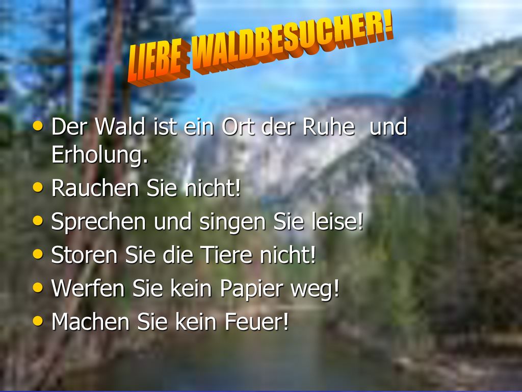 LIEBE WALDBESUCHER! Der Wald ist ein Ort der Ruhe und Erholung.