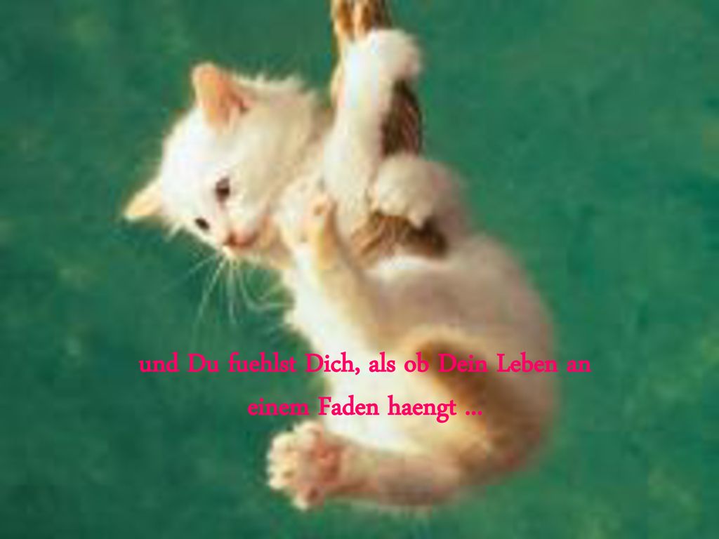 und Du fuehlst Dich, als ob Dein Leben an einem Faden haengt ...