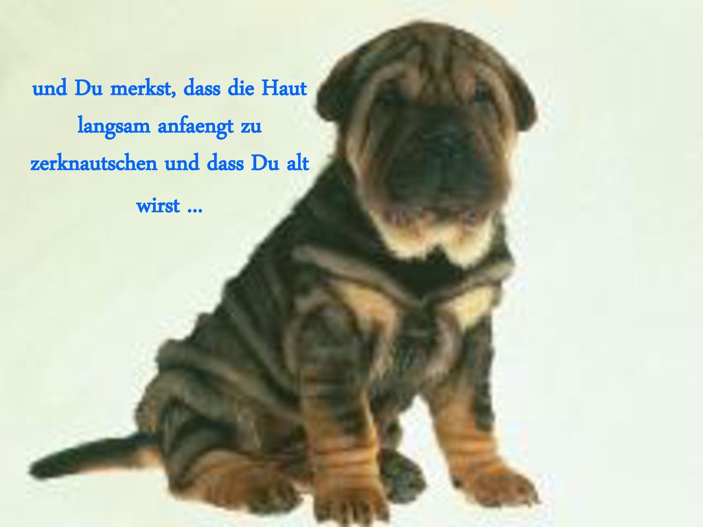 und Du merkst, dass die Haut langsam anfaengt zu zerknautschen und dass Du alt wirst ...