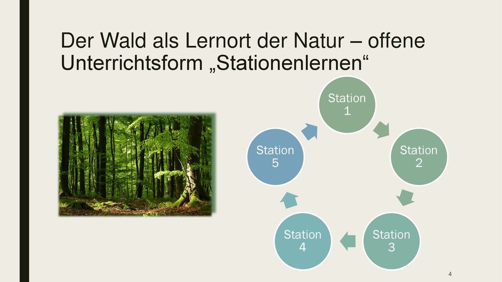 Der Wald als Lernort der Natur – offene Unterrichtsform „Stationenlernen