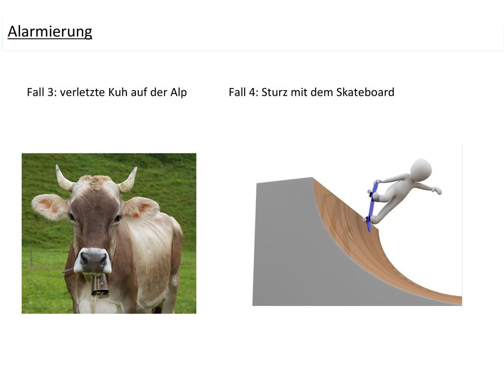 Alarmierung Fall 3: verletzte Kuh auf der Alp Fall 4: Sturz mit dem Skateboard