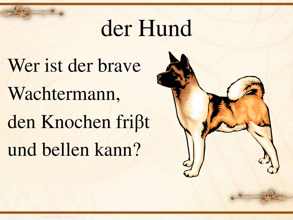 der Hund Wer ist der brave Wachtermann, den Knochen friβt und bellen kann