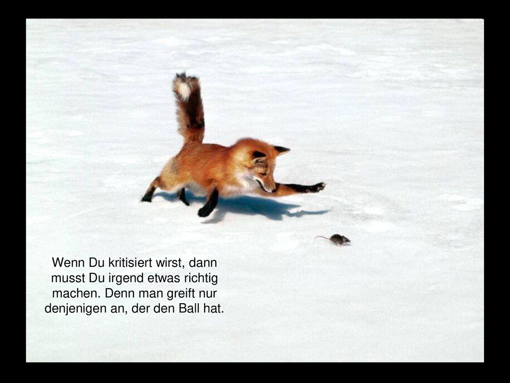 Wenn Du kritisiert wirst, dann musst Du irgend etwas richtig machen