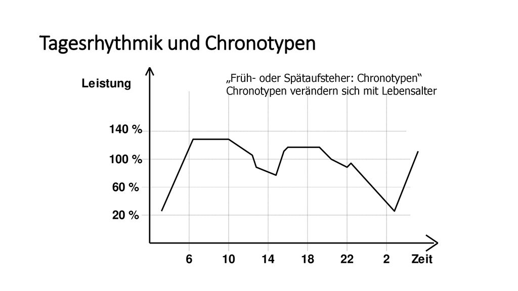 Tagesrhythmik und Chronotypen