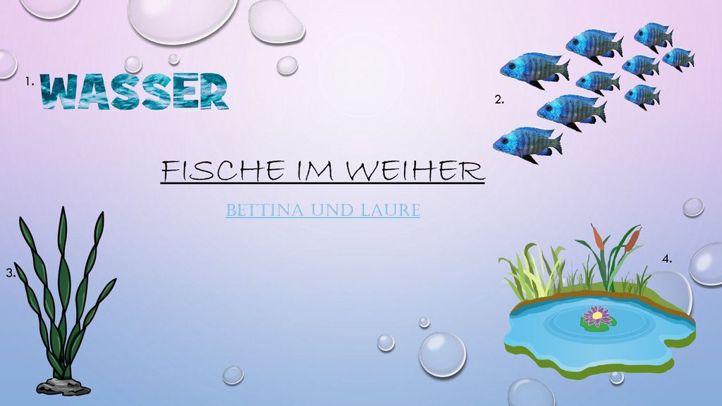 1. Fische im Weiher 2. Bettina und Laure 4. 3.