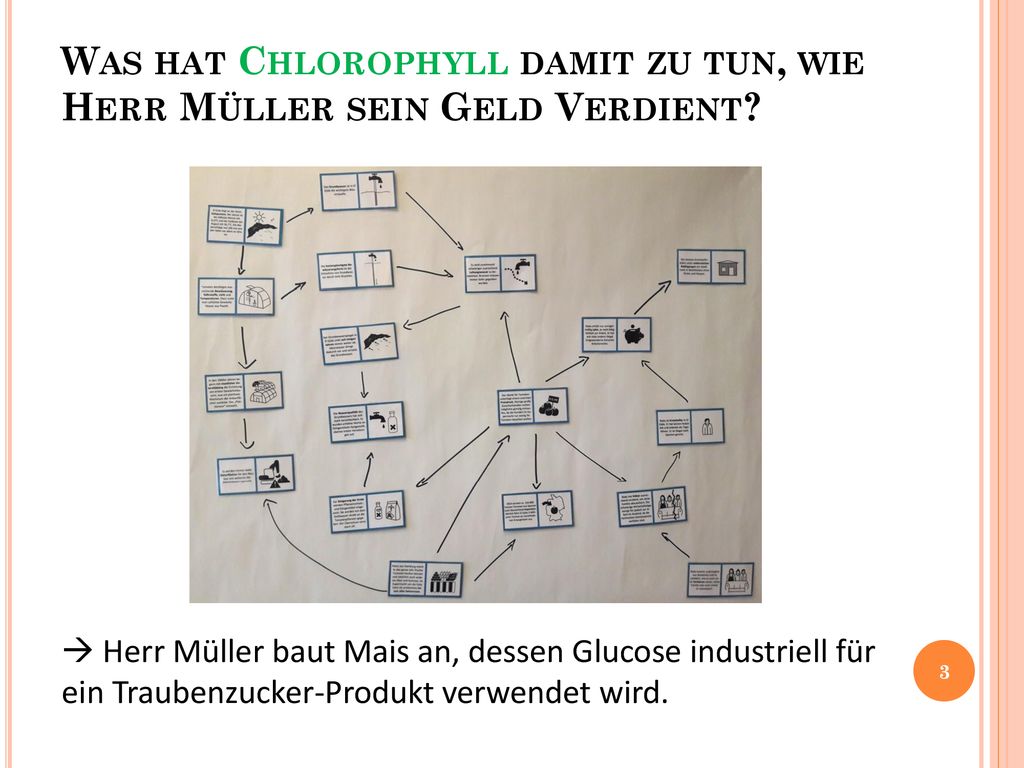 Was hat Chlorophyll damit zu tun, wie Herr Müller sein Geld Verdient