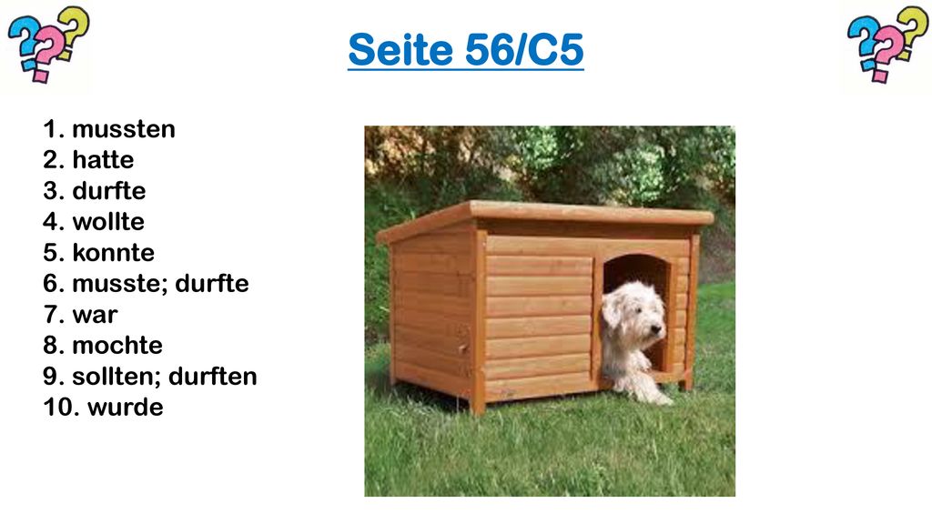 Seite 56/C5 1. mussten 2. hatte 3. durfte 4. wollte 5.