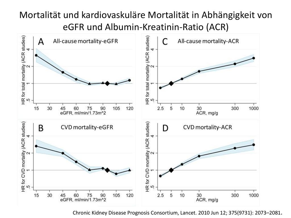 Mortalität und kardiovaskuläre Mortalität in Abhängigkeit von eGFR und Albumin-Kreatinin-Ratio (ACR)