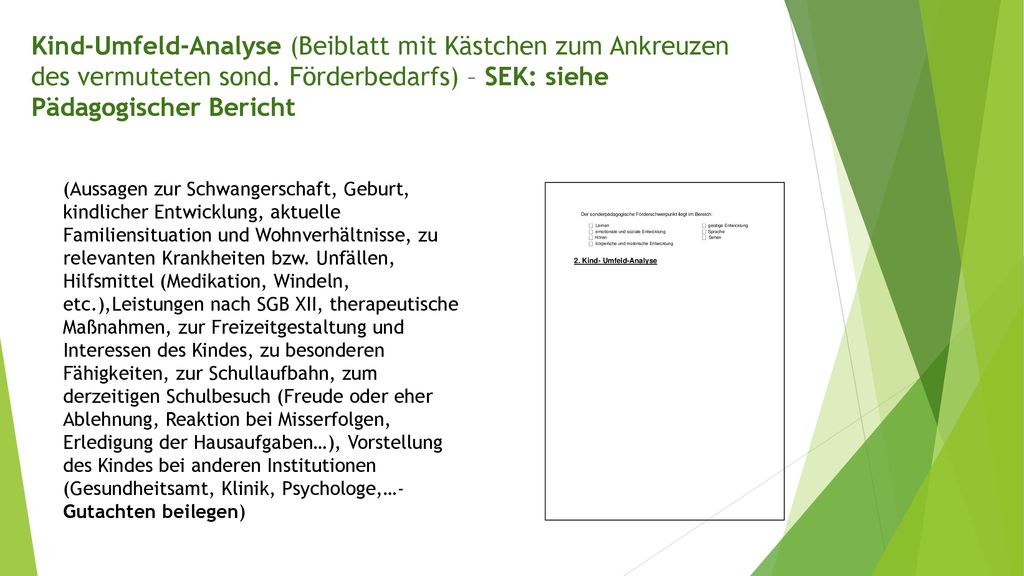 Kind-Umfeld-Analyse (Beiblatt mit Kästchen zum Ankreuzen des vermuteten sond. Förderbedarfs) – SEK: siehe Pädagogischer Bericht
