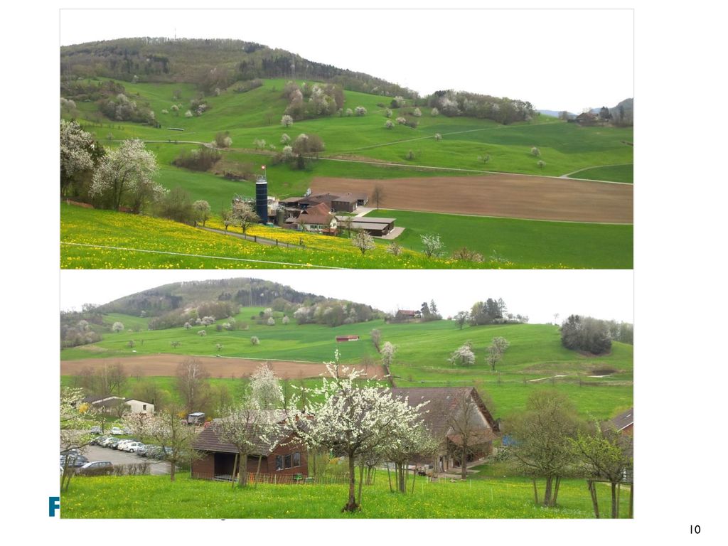 Zusätzlich zu den Stufen auf der Pyramide kommt die räumliche Dynamik: Die Schweizer Landschaft und Landwirtschaft ist sehr kleinräumig strukturiert. Invasive oder sehr mobile Schädlinge machen nicht am eigenen Gartenzaun halt. Wirklich nachhaltige Regulierungsstrategien sind nur möglich, wenn sich alle Bauern in einem Gebiet zusammenschliessen. Dafür fehlen aber heute die nötigen Anreizsysteme und die organisatorischen Strukturen: für den einzelnen Bauern lohnt sich das kurzfristig meist nicht, der Nutzen liegt im langfristigen Bereich.