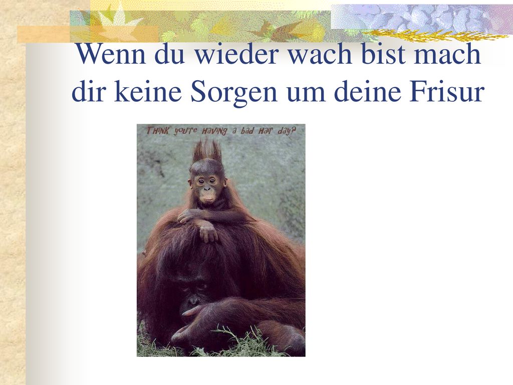 Wenn du wieder wach bist mach dir keine Sorgen um deine Frisur