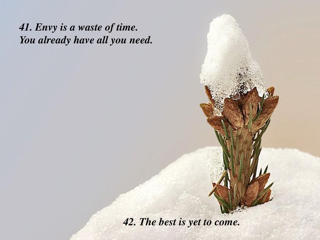 41. Envy is a waste of time. You already have all you need. 42. The best is yet to come.