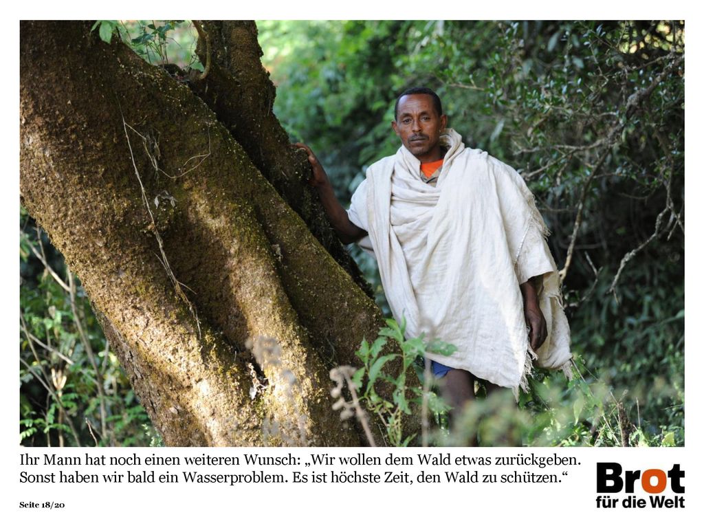 Ihr Mann hat noch einen weiteren Wunsch: „Wir wollen dem Wald etwas zurückgeben.