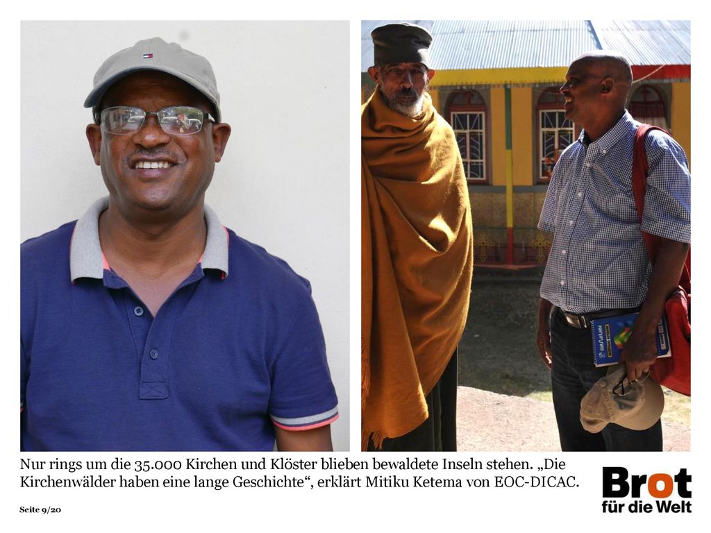 Nur rings um die Kirchen und Klöster blieben bewaldete Inseln stehen.