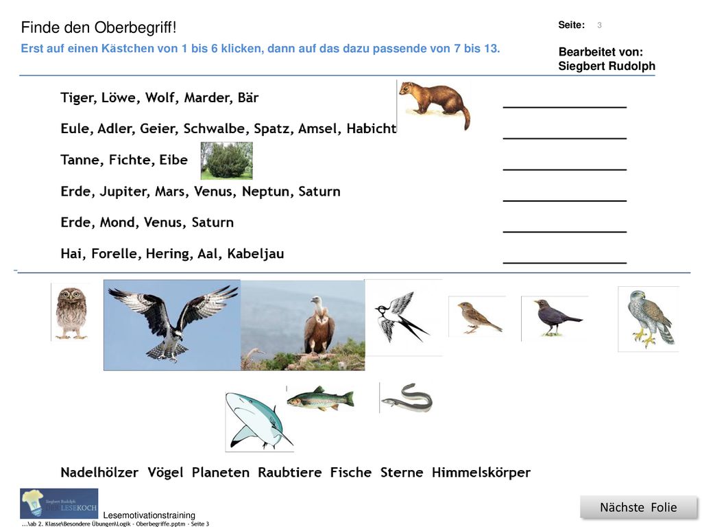 Finde den Oberbegriff! (1) Tiger, Löwe, Wolf, Marder, Bär (2)