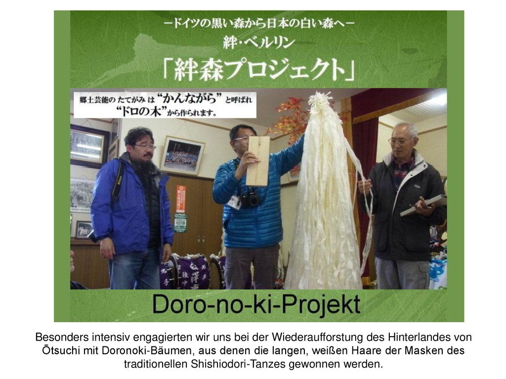 Besonders intensiv engagierten wir uns bei der Wiederaufforstung des Hinterlandes von Ōtsuchi mit Doronoki-Bäumen, aus denen die langen, weißen Haare der Masken des traditionellen Shishiodori-Tanzes gewonnen werden.