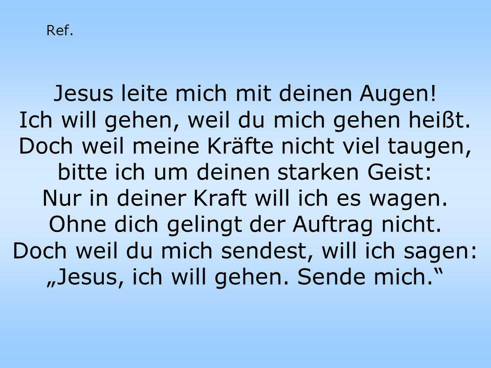 Jesus leite mich mit deinen Augen!