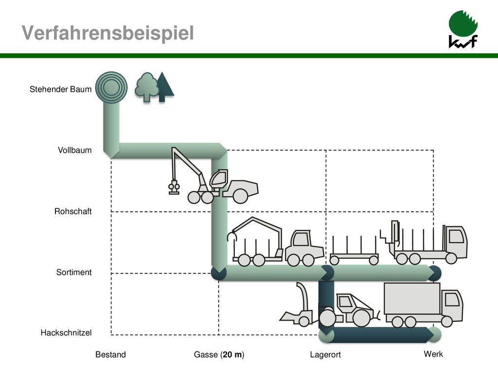 Verfahrensbeispiel Vollbaum Rohschaft Sortiment Bestand Gasse (20 m)