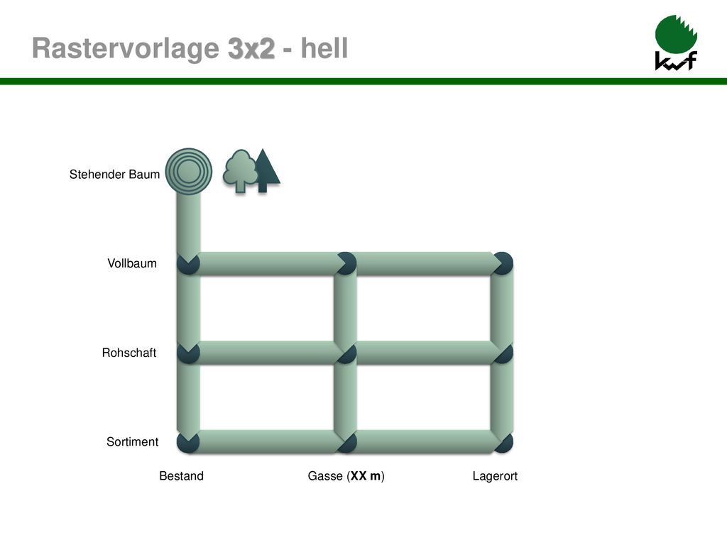 Rastervorlage 3x2 - hell Vollbaum Rohschaft Sortiment Bestand