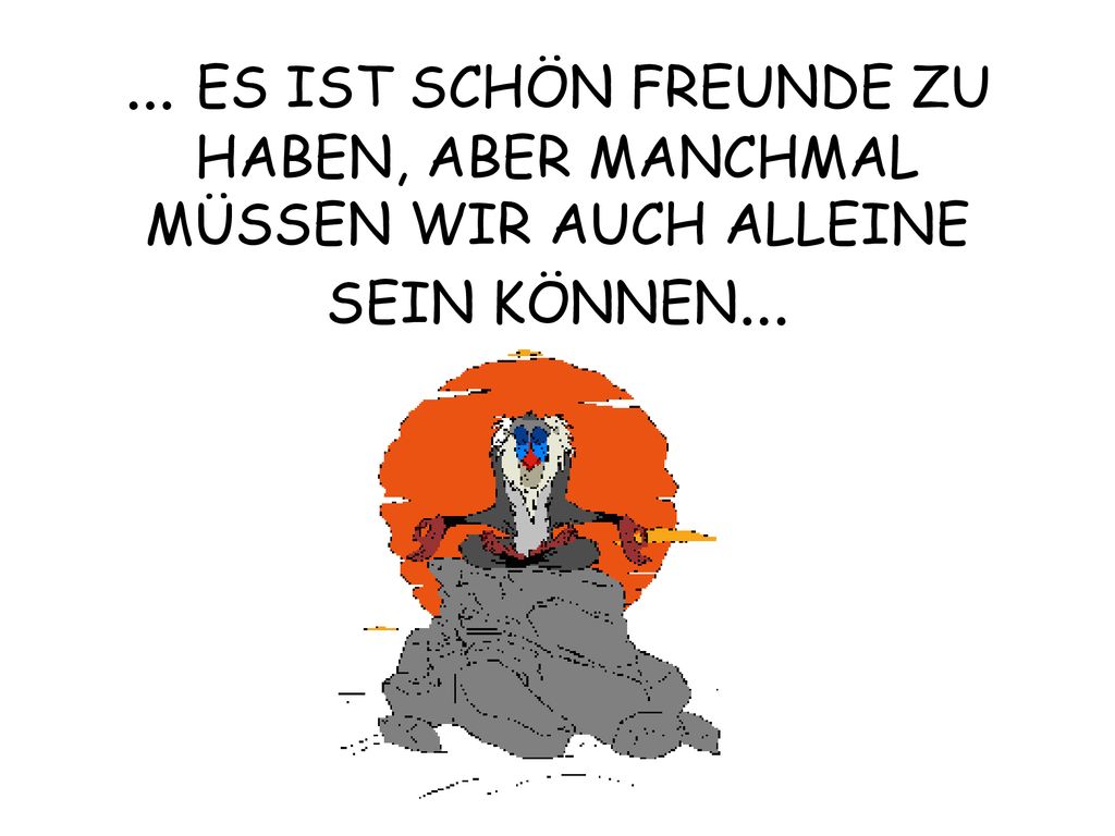 ... ES IST SCHÖN FREUNDE ZU HABEN, ABER MANCHMAL MÜSSEN WIR AUCH ALLEINE SEIN KÖNNEN...